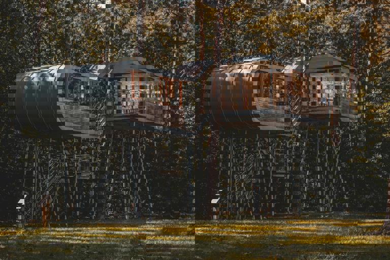 Whimsical Treehouse Retreat Opens for Nature Lovers Seeking Unique Escapes